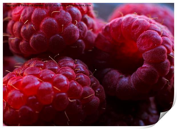  Fresh Raspberries  Print by Rebecca Hansen