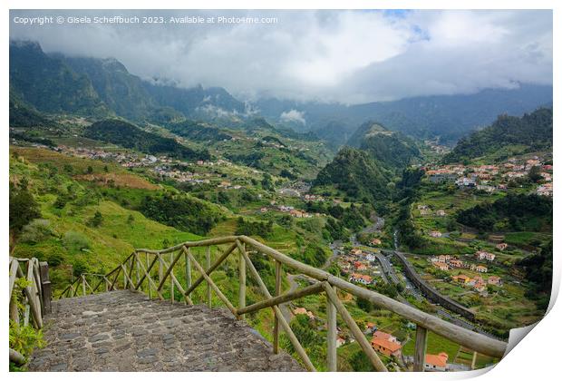 The Greens of Madeira Print by Gisela Scheffbuch
