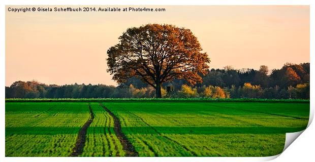  Autumn Evening Print by Gisela Scheffbuch