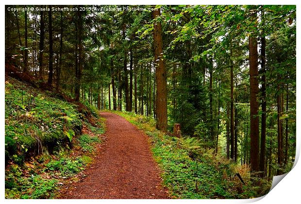Forest Path Print by Gisela Scheffbuch