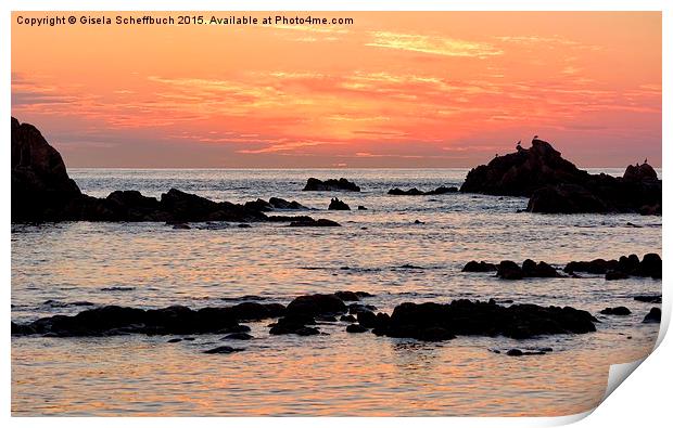  Sunset  at Cobo Bay Print by Gisela Scheffbuch