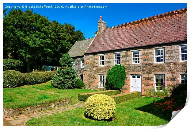 Idyll on the Isle of Sark  Print by Gisela Scheffbuch