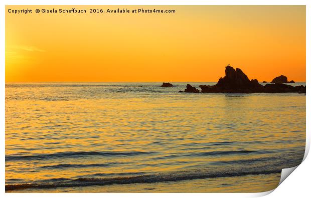 Sunset at Cobo Bay Print by Gisela Scheffbuch