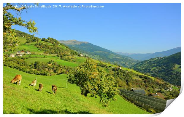 Autumn in the Eisack Valley Print by Gisela Scheffbuch