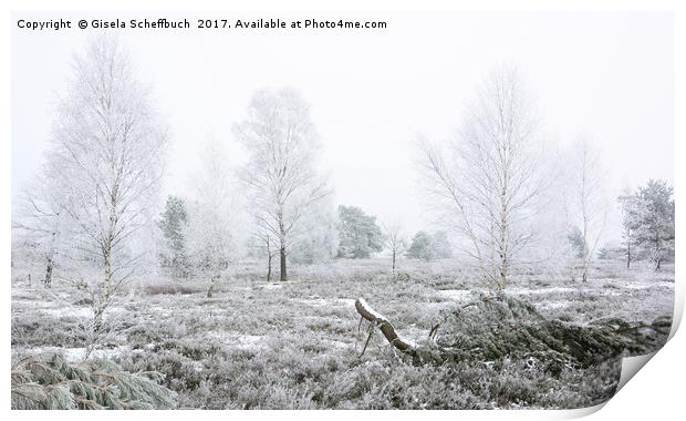 Frosty Heathland  Print by Gisela Scheffbuch