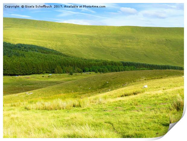 Brecon Beacons National Park II Print by Gisela Scheffbuch