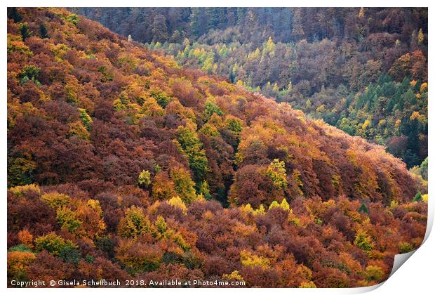 Beautiful Autumn Foliage in the Harz Mountains Print by Gisela Scheffbuch