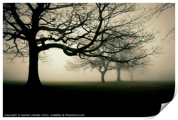 Trees in the Mist Print by Rachel J Bowler