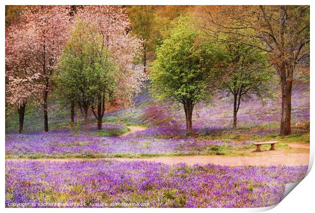 Blossom and Bluebells Print by RJ Bowler