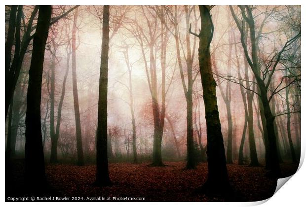 Dark Woods Print by Rachel J Bowler
