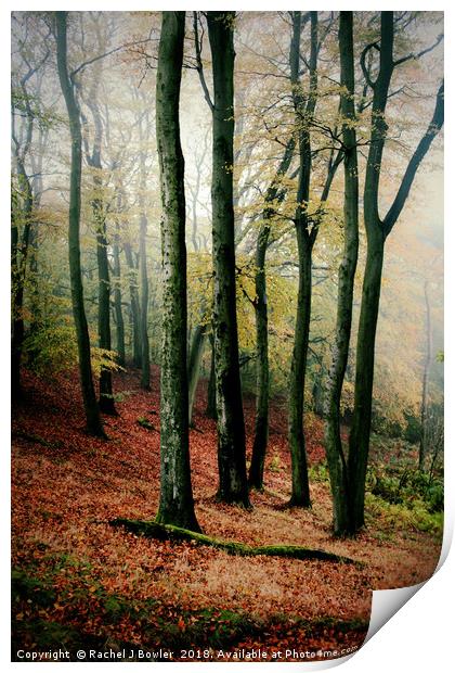 Enchanted Autumn Woodland Print by RJ Bowler