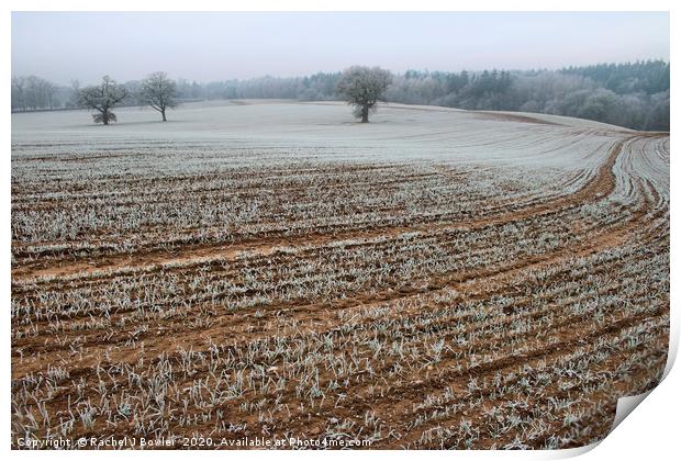 Winter Wonderland Print by RJ Bowler