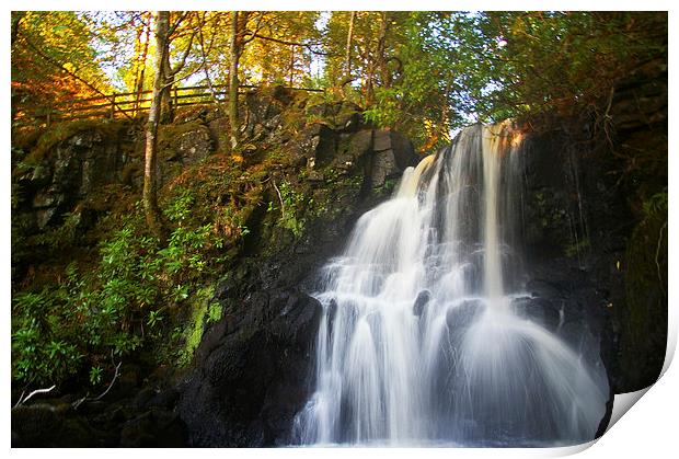 Scottish Waterfall in Autumn Print by Edward Dyer