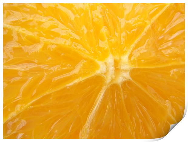Fresh Orange closeup Print by Matthias Hauser