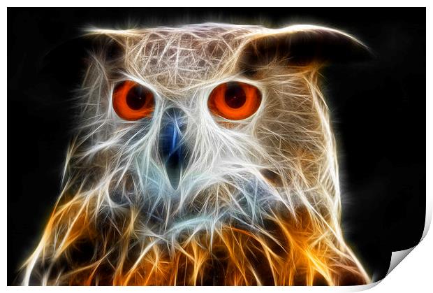 Owl fractal art Print by Matthias Hauser
