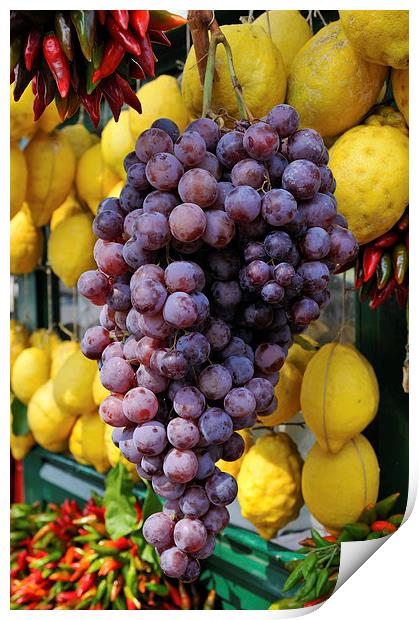 Grapes and lemons Print by Matthias Hauser
