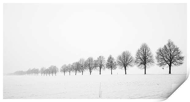 Minimalist winter landscape with trees Print by Matthias Hauser