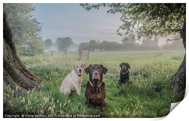 Dogs in the park Print by claire norman