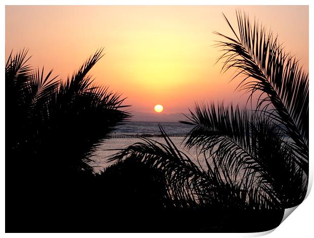 sunrise and palms Print by caroline hearns