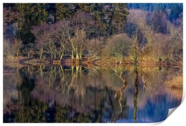 River Reflections Print by Adrian Hargan