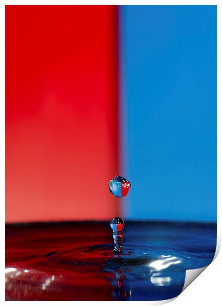 Water Droplet Red/Blue Print by Jade Wylie