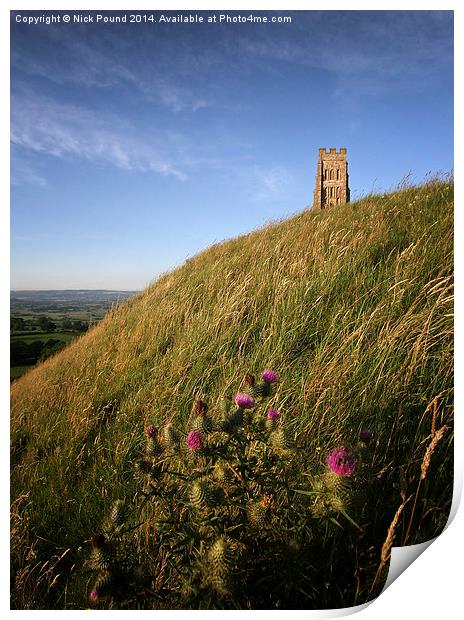 Glastonbury Tor and a Thistle Print by Nick Pound