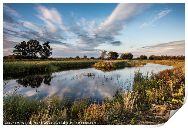 Ham Wall Nature Reserve Print by Nick Pound