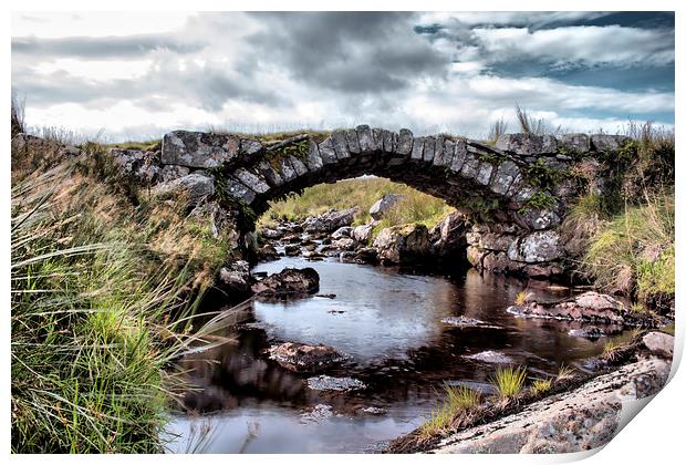  Old bridge Print by sean clifford