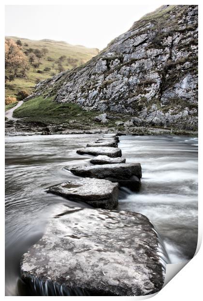 Stepping stones Print by sean clifford
