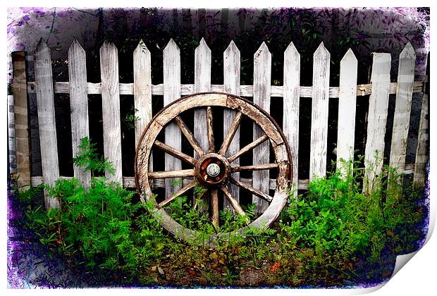 Wagon Wheel Print by Julia Whitnall