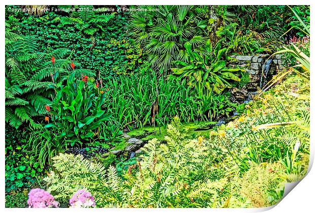  Colours of Cornwall's Great Gardens Print by Peter Farrington