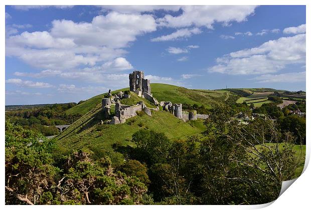  Corfe castle on a summer afternoon Print by Shaun Jacobs