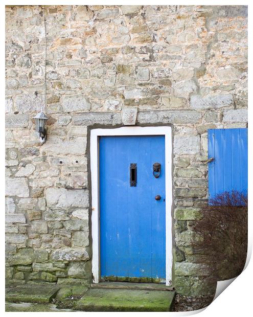Old Blue Door Print by Shaun Jacobs