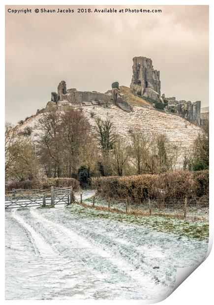 Corfe Castle winter pathway Print by Shaun Jacobs