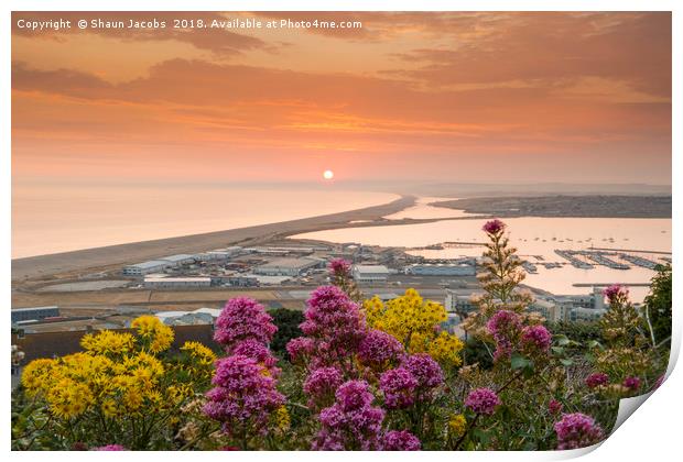 Chesil Beach sunset  Print by Shaun Jacobs