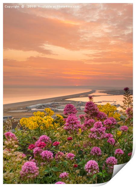 Chesil Beach sunset  Print by Shaun Jacobs