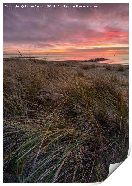 Sunrise over the sand dunes of Sandbanks  Print by Shaun Jacobs
