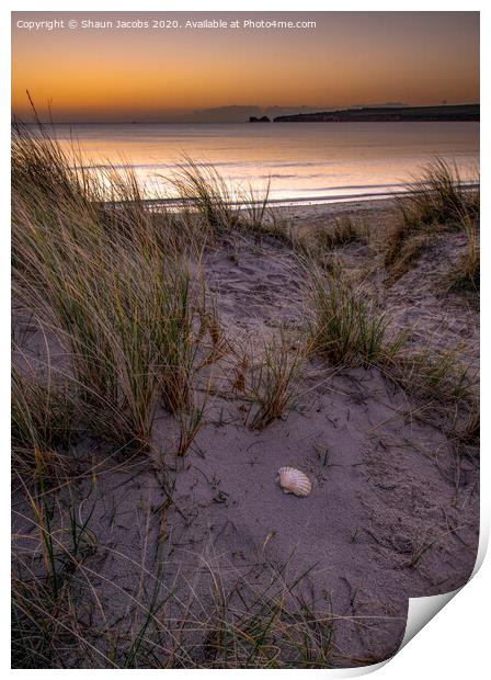 Shell beach Studland Dorset  Print by Shaun Jacobs