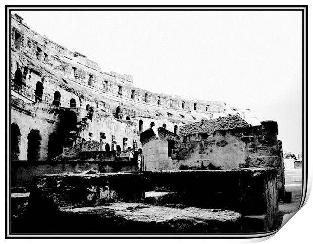 Colosseum from the ground. Print by Mark Franklin