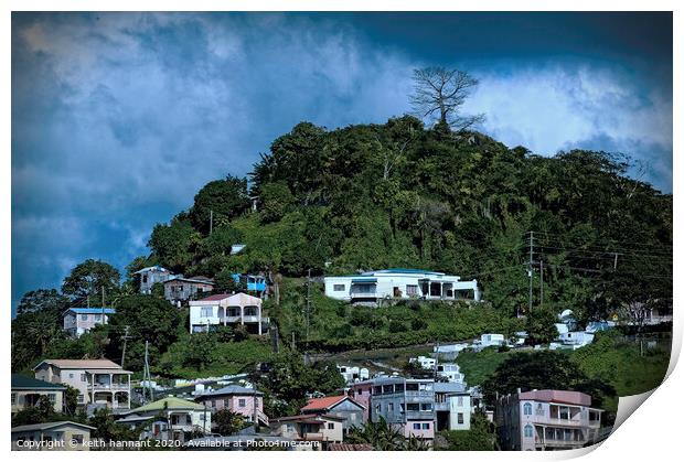 the island  of Grenada  Print by keith hannant