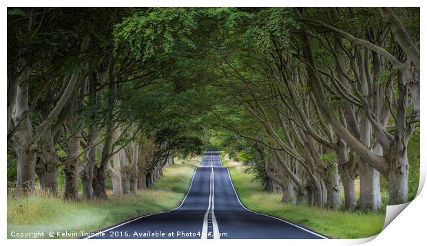 The Beech Avenue Print by Kelvin Trundle