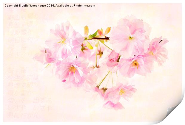 Sakura Print by Julie Woodhouse