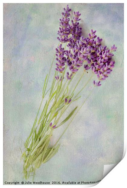 Lavender flowers Print by Julie Woodhouse