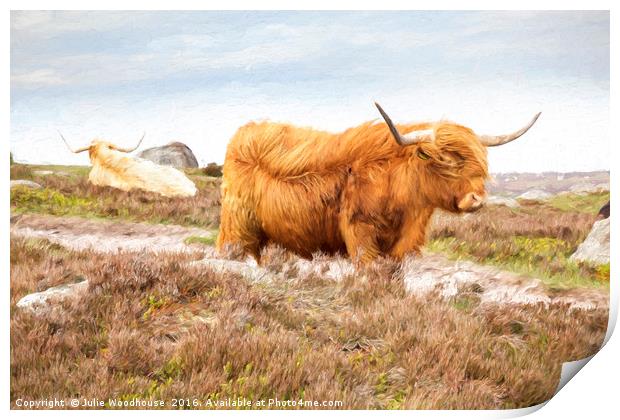 Highland Cattle Print by Julie Woodhouse