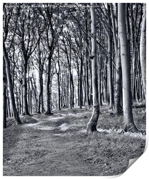 Rugen forest Print by Julie Woodhouse
