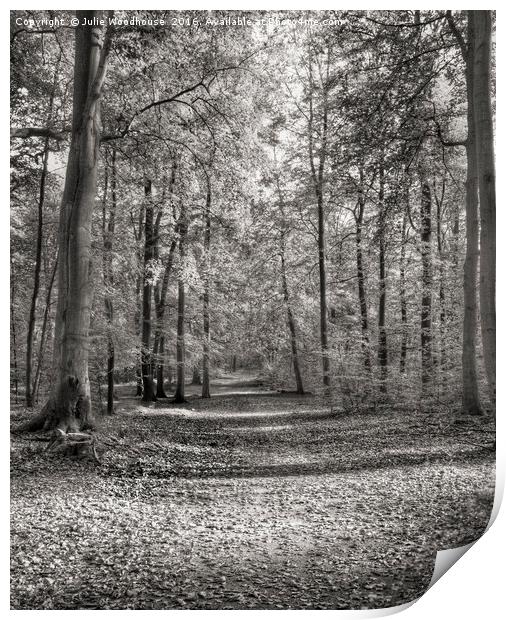 forest path Print by Julie Woodhouse