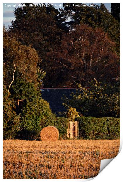  The Back Gate Print by Michelle BAILEY