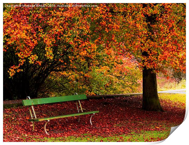  Beech and Bench Print by Michelle BAILEY