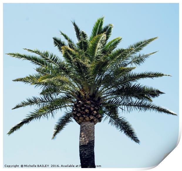 Palm Tree 2 Print by Michelle BAILEY