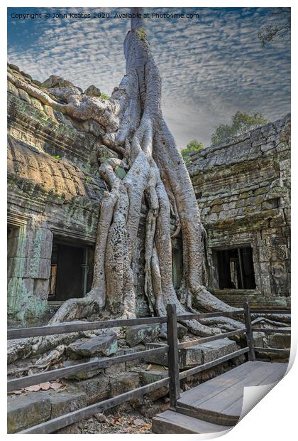 Tree roots at Ta Prohm temple Cambodia  Print by John Keates